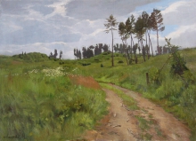 Deforested Area - oil, canvas