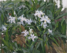 Irises In The Garden - oil, canvas
