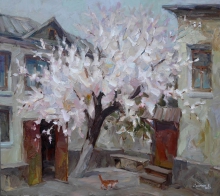 Blooming Apricot - oil, canvas