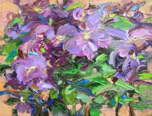 Clematis - oil, canvas