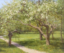 Blooming Apple-trees - oil, canvas